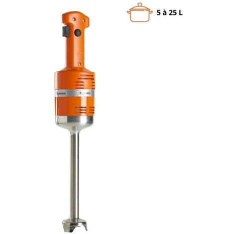 Mixeur plongeant junior standard - Dynamic