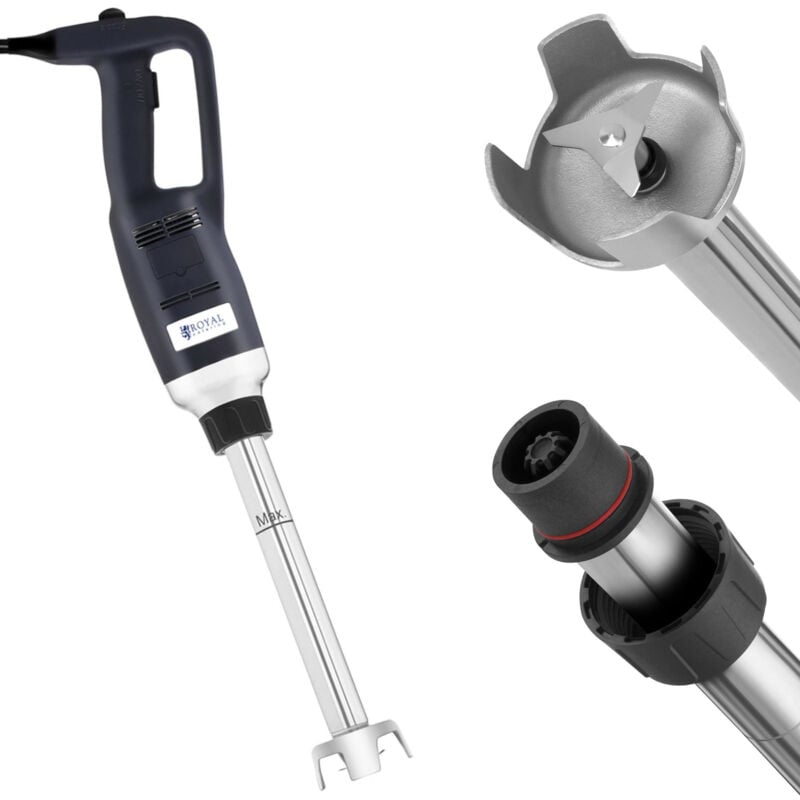 Royal Catering - Mixeur puissant robot à main bras longueur 300mm 350W 230V