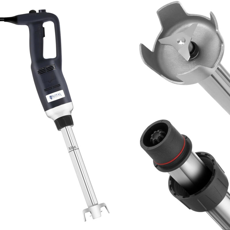 Royal Catering - Robot mixeur puissant à main, longueur de bras 300mm 500W 230V