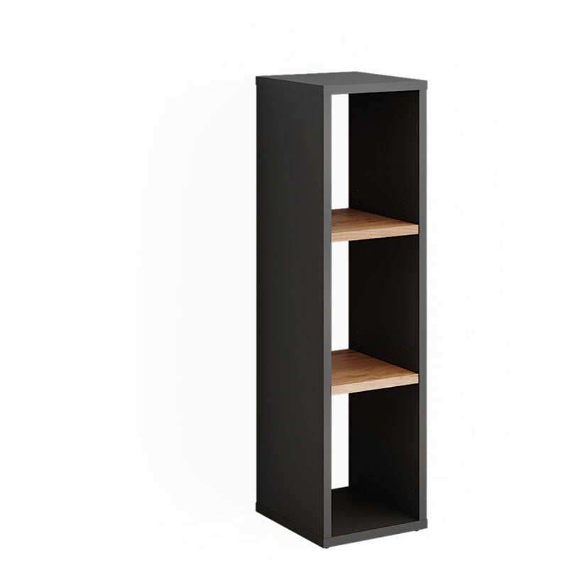 Armoire à chaussures Orlando, Anthracite/chêne doré, 21.6x80.1cm, Vicco