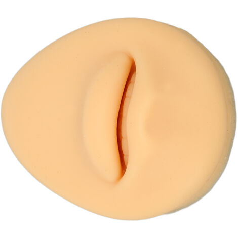 Modèle de Bouche Humaine en Silicone Souple pour Démonstration Dentaire et Formation Médicale