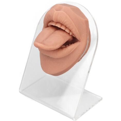 Modèle de Langue Humaine Réaliste en Silicone Souple avec Support Acrylique pour Bijoux - Version Chair Claire