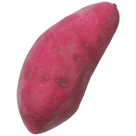 Modèle de Patate Douce Réaliste Taille Réelle pour Vitrine et Décoration