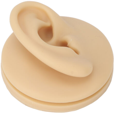 Modèle d'oreille humaine en silicone souple, détaillé et étanche pour l'étude de l'anatomie et la formation médicale