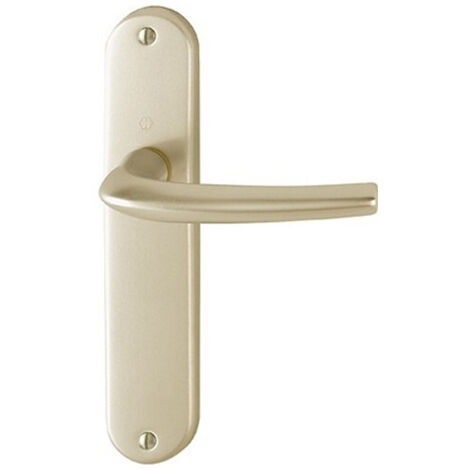 MODELO GRANDE CONJUNTO SAN DIEGO TIPO CAÑO CAÑA F2 ACABADO ALUMINIO ASPECTO CHAMPAGNE - HOPPE - 3559758