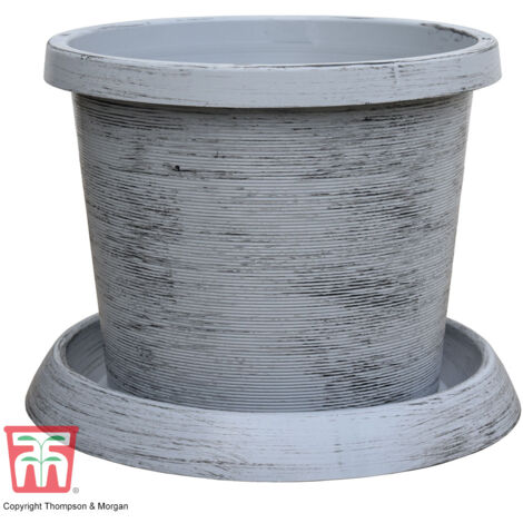 Modern Grey Patio Potted Plant & Saucer (24 litre) (39cm) Large x 2