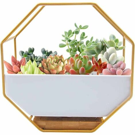 Modern Metal Wire Wall Planter,Wall Mounted Plant Pot,Hanging Flower Wall Mounted Glass Planter Clear Vase for Artificial Flower,Cactus,Succulents,Decor for Living Room Dining Room