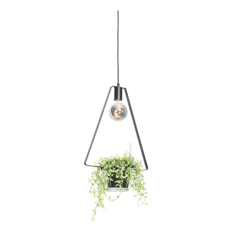 Modern hanging lamp black with glass triangular - Roslini