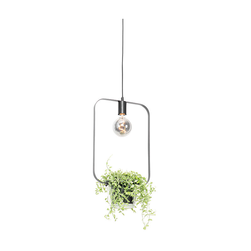 Modern hanging lamp black with glass rectangular - Roslini
