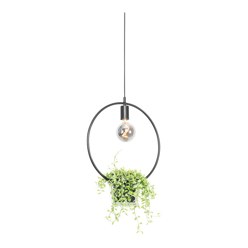 Modern hanging lamp black with glass round - Roslini