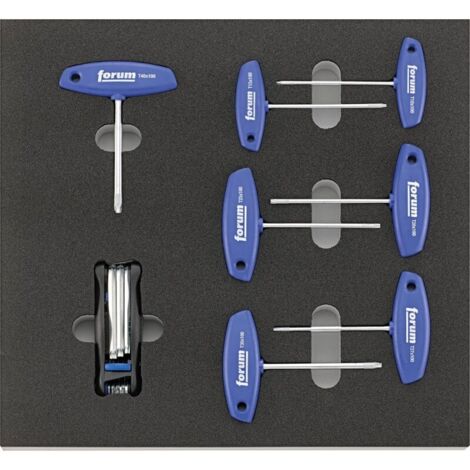 Modul 2/3 leer 2017 Quergriff Torx FORUM