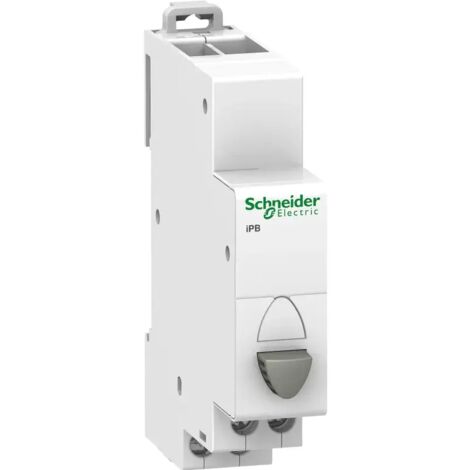 Modularer Taster 20A 1R grau iBP A9E18030
