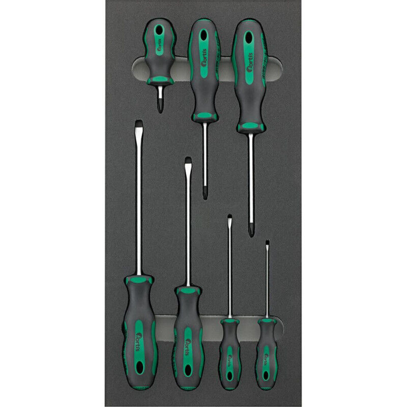FP - Module d'outils 1/3 pour tournevis ph fortis