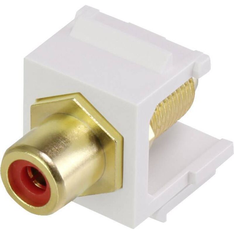 Renkforce - module encastrable cinch keystone RF-3434012 1 pc(s)