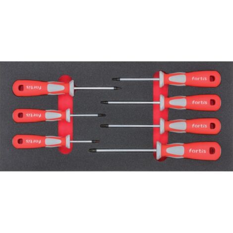 Module outil tournevis TORX FORTIS