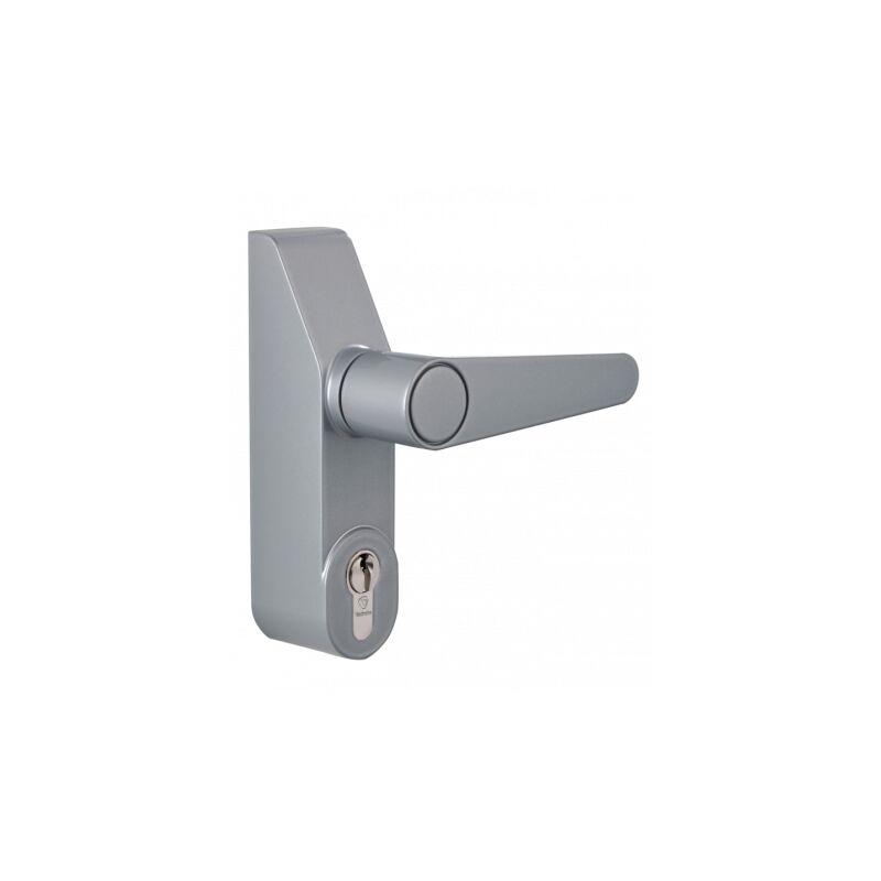 Module pour anti-panique béquille + cylindre alpha bqc Gris 157 Gris