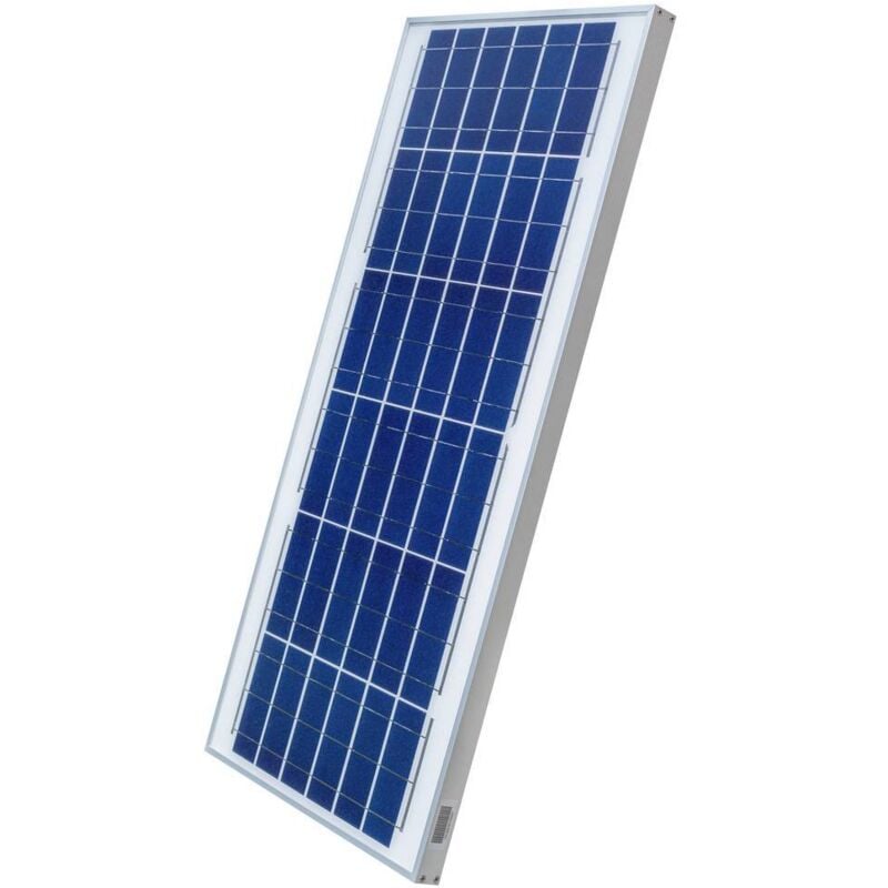 Sunset AS 50 C Module solaire monocristallin 50 Wp 12 V