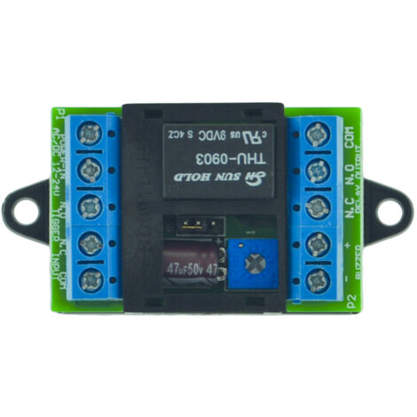 Module temporisation universel 12/24V AC/DC – Contact NO/NF – Sortie 100 mA – Consommation 2 mA au repos – Pour systèmes de sécurité – Izyx