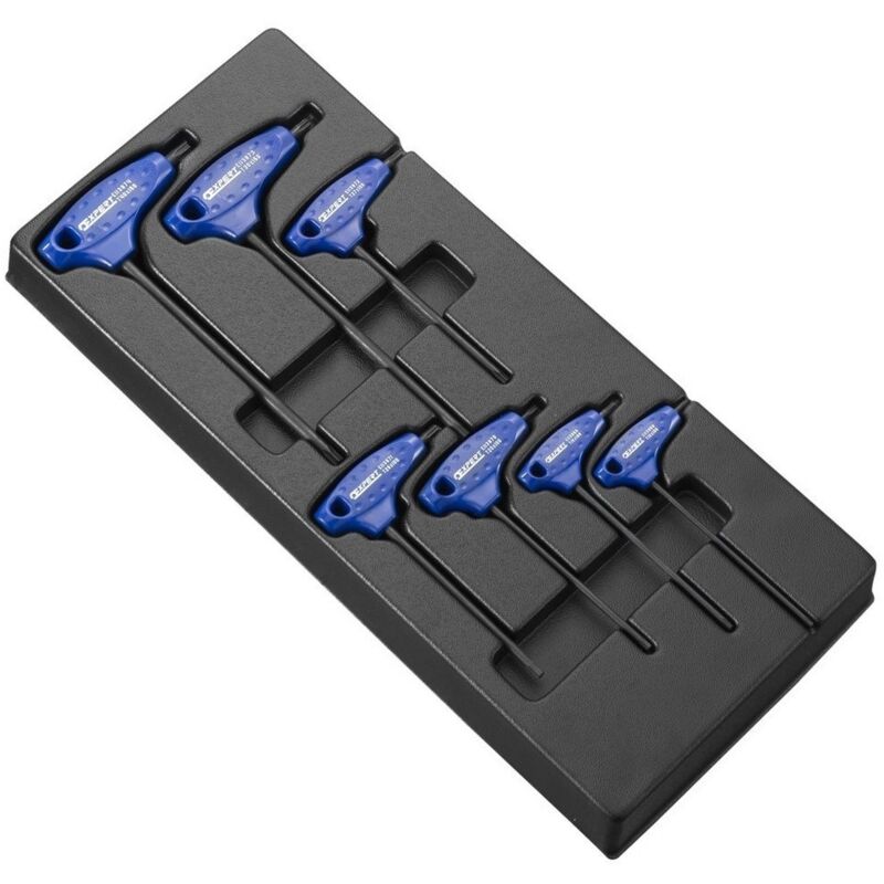 

EXPERT E121213 - Módulo de 7 llaves macho con mango en t torx