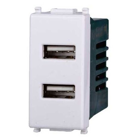 Toma Cargador Doble USB Tipo A+A, 1 Módulo Gris, MatixGO De