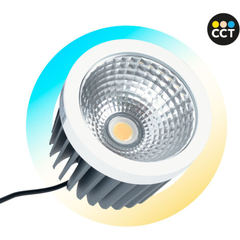 Módulo LED 30W QR111- CCT - Driver Externo - 60° - CRI 90