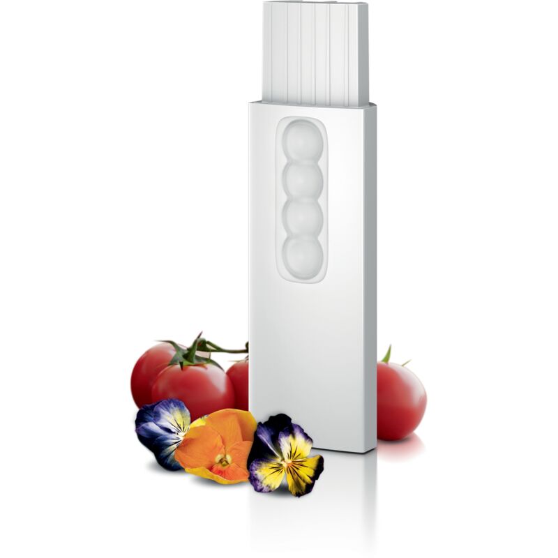 Modulo luce in fiore Bosch MSGZHB3L