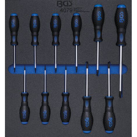 Modulo per carrelli portautensili 2/3: cacciavite profilo a T (per Torx)  T6 - T40  11 pz.