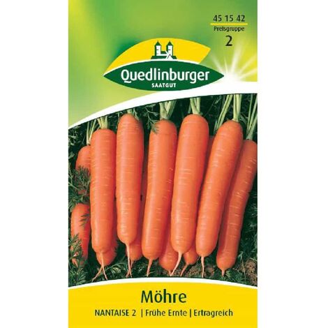 Möhre, Nantaise 2