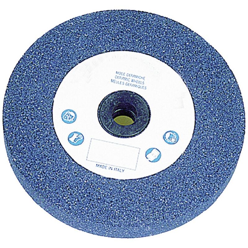 Mola abrasiva ø 100 x 13 f. 13 GR.60