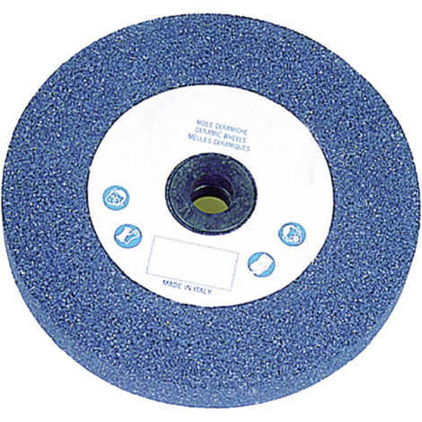 MOLA ABRASIVA Ã¸ 150 x 20 F. 16 gr.60