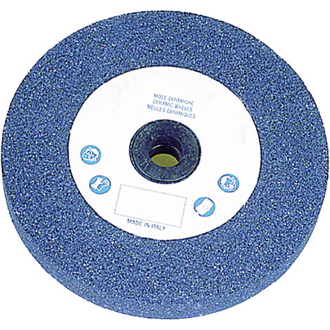 MOLA ABRASIVA Ã¸ 200 x 20 F. 20 gr.36