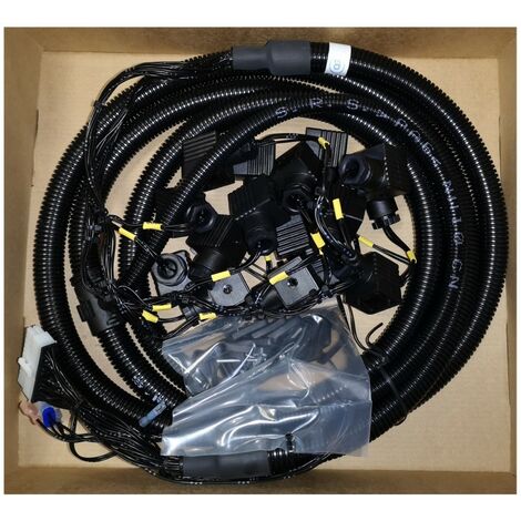 Molex 184/21920 Faisceau électrique