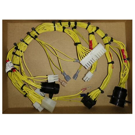 Molex 184/21966 Faisceau électrique