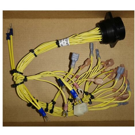 Molex 184/21975 Faisceau électrique