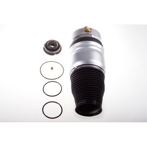 Molla pneumatica anteriore DSA113G Denckermann