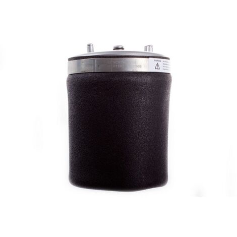 Molla pneumatica posteriore DSA110G Denckermann