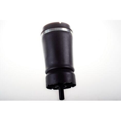 Molla pneumatica posteriore DSA112G Denckermann