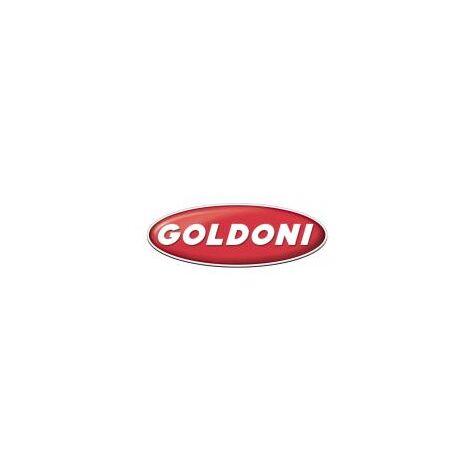 Molla ritegno leva ORIGINALE GOLDONI 00058989
