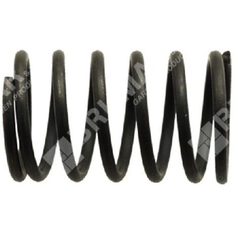 Molla valvole per motori DAYE - DAYEE Compatibile - 037991