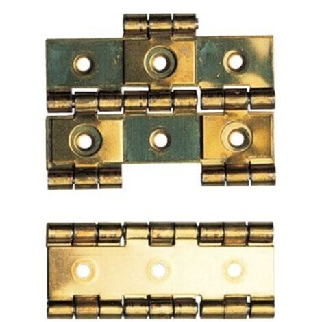 Monin – Charnière pour meuble 60 x 30 mm – Finition laitonnée – Pour paravent – Charge maximale 50kg – 428570