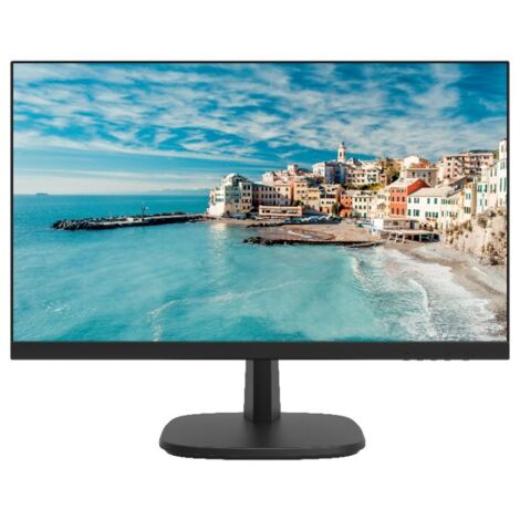 Moniteur LED Full HD 2,8" DS-D5024FN/EU