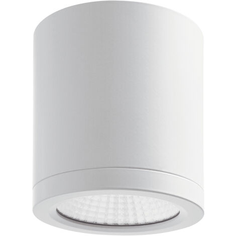 Montage en surface BUIS IP54 LED COB 14W 1422lm CRI83 4000K 50º Blanc