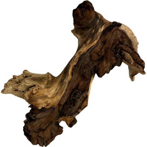 Mopani-Wurzel 21-30 cm