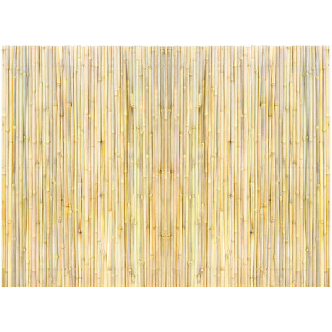 Mophorn 4ft x 6ft Bamboo Privacy Fence, Eco-Friendly Rolled Bamboo Screen, Decorative Garden, Backyard, Pool, Patio, Natural Wood