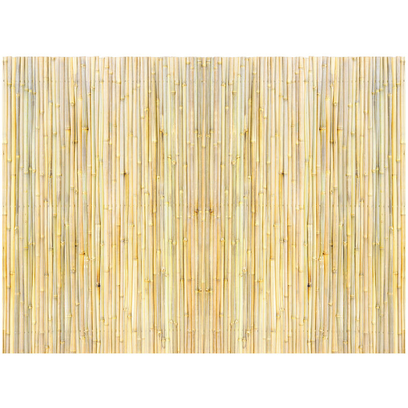 Mophorn Clôture d'intimité en bambou 4 pi x 6 pi, écran en bambou roulé écologique, jardin décoratif, arrière-cour, piscine, patio, bois naturel