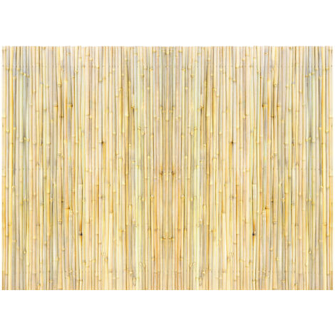Mophorn  Clôture d'intimité en bambou 4 pi x 6 pi, écran en bambou roulé écologique, jardin décoratif, arrière-cour, piscine, patio, bois naturel