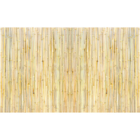 Mophorn Natural Rolled Bamboo Fence, 4 ft H x 8 ft L x 0.75 in D, Eco-Friendly Bamboo Privacy Screen, Decorative Garden, Balcony, Pool, Patio, Backyard