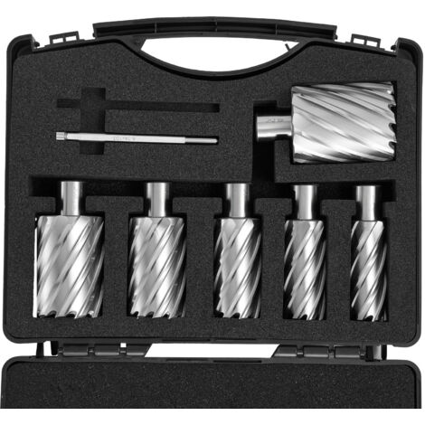 Mophorn Set di frese anulari, 6 punte da trapano magnetiche con gambo Weldon, profondità di taglio 2, diametro da 1 a 2, M2AL HSS, include 2 perni pilota e custodia portatile per trapani magnetici