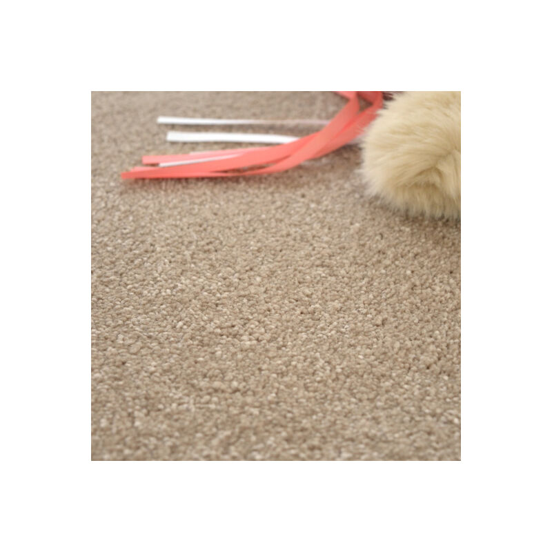 Moquette chambre ou salon - Select - Marron clair - Rouleau de 4m x 7m