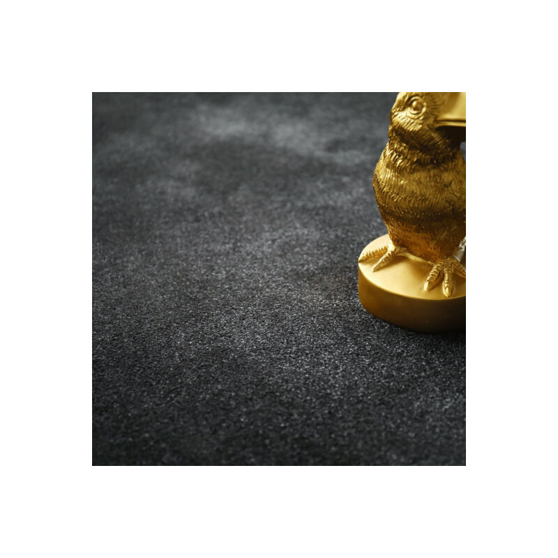 Décoweb - Moquette douce - Hypnose - Noir velours - Rouleau de 4m x 1m